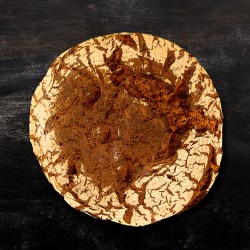 Hummingbird printed t-shirt